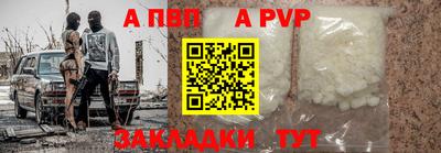 шишки Тара