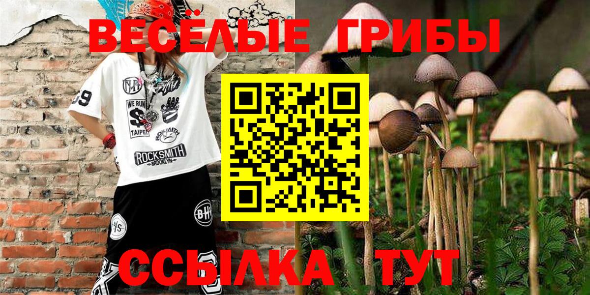 Новороссийск  как найти закладки  Вход с VPN  Псилоцибиновые грибы мухоморы 